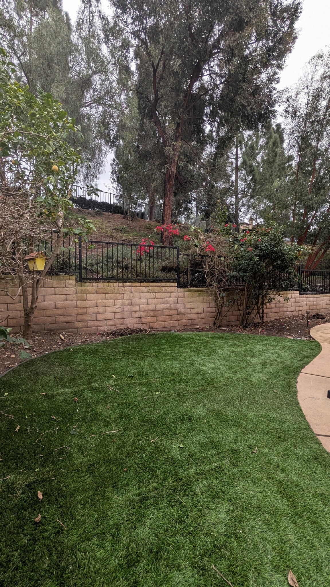 Building Photo - 9476 Questa Pointe