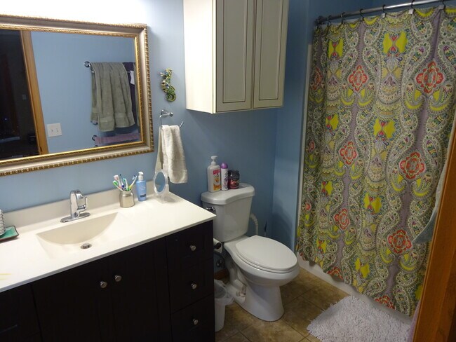 2nd Bathroom - 728 2nd Ave SE