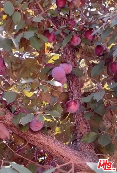 Building Photo - 3541 5th St