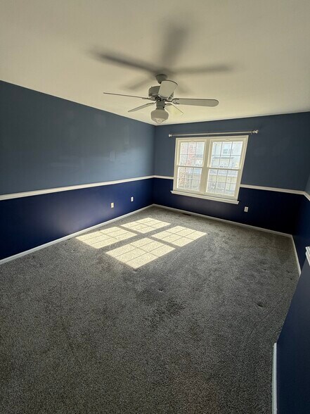 Building Photo - 12 Paynter St