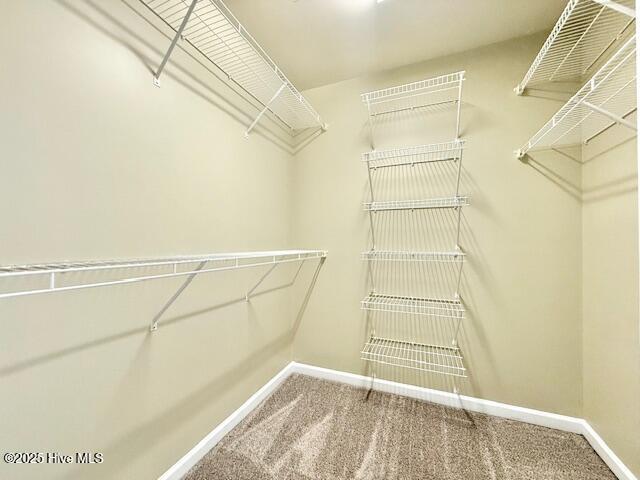 Building Photo - 109 Gobblers Way