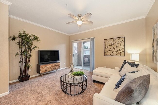 Building Photo - 10001 Woodcreek Oaks Blvd