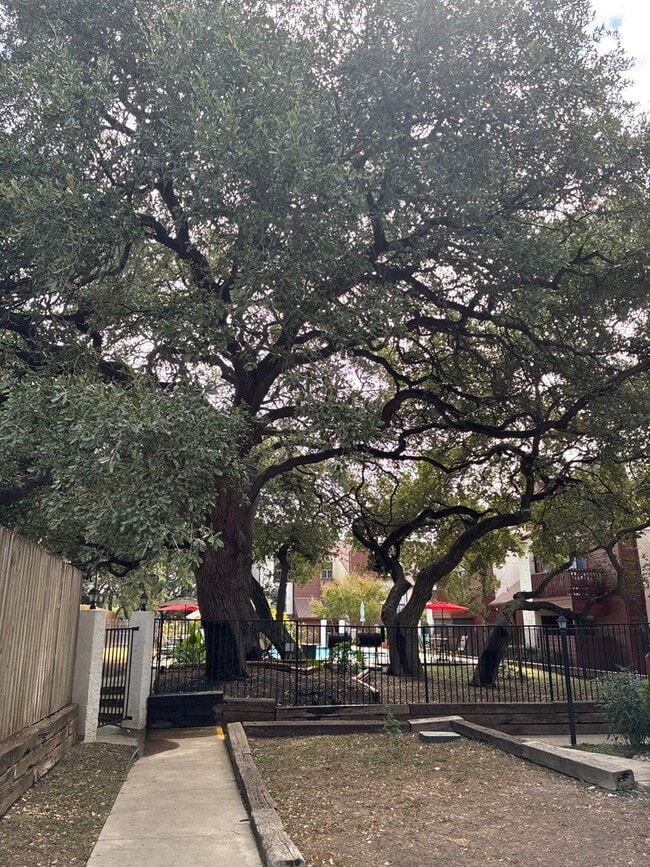 Building Photo - 1BR/1.5BA w/ Fireplace • Balcony • Pool Access in San Antonio