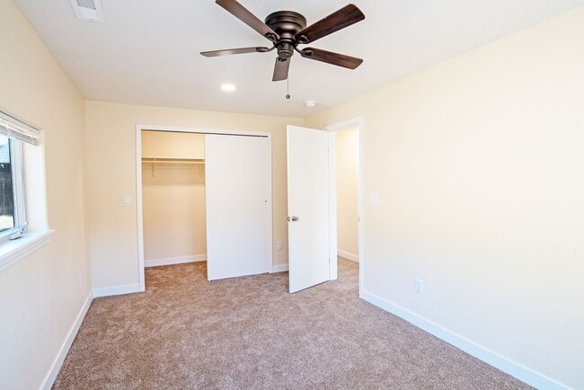 Building Photo - Fully Updated 2 Bed 1 Bath in Woodland Park!