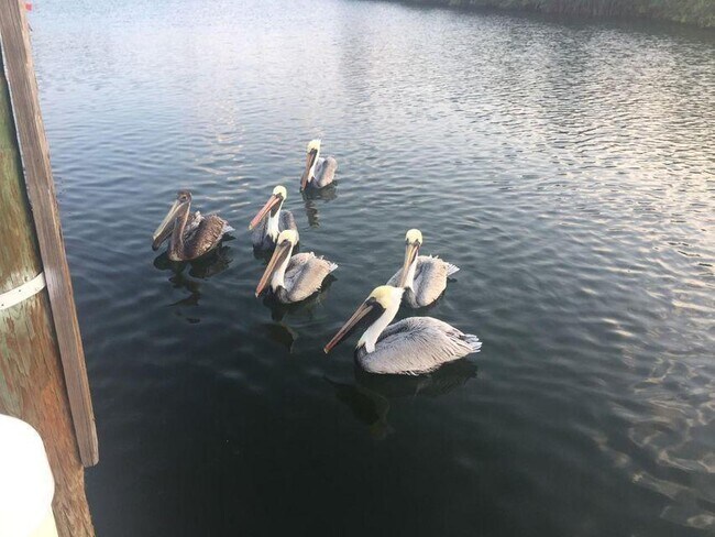 Building Photo - 5159 N Hwy A1A