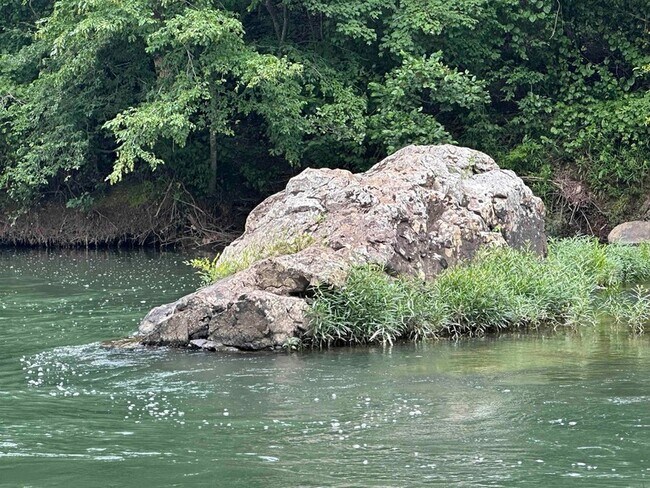 Building Photo - 896 Vaughn Rd