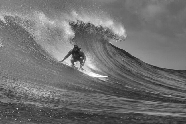 Building Photo - 3 Bed/2 Bath Laie Home with big yard and bonus space