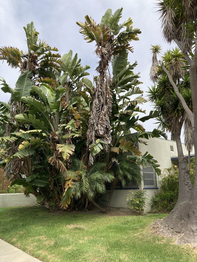 Pearl Street View of Front - 1042 Pearl St