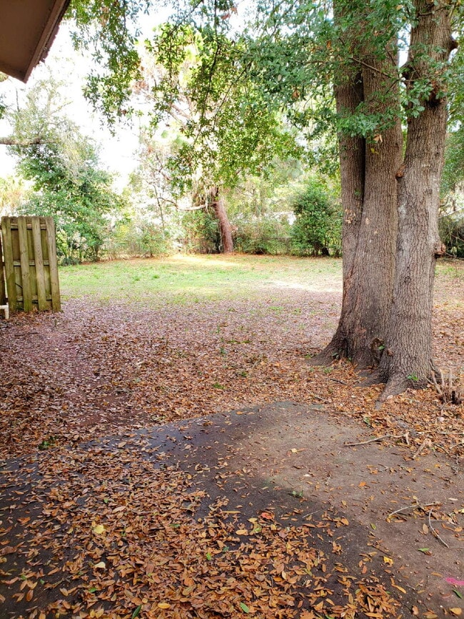 Building Photo - "Charming 3-Bed Oasis with 1.5 Baths in Fo...