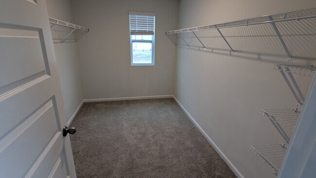 Building Photo - 455 Coconut Dr
