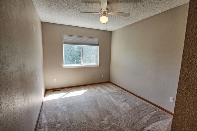 Building Photo - 4 bed 3 bath home in Clarke Farms Parker