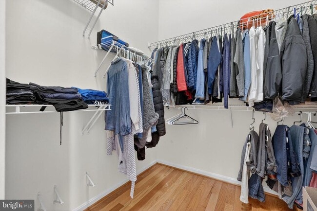 Building Photo - 8010 Readington Ct