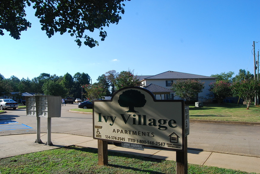 Primary Photo - Ivy Village