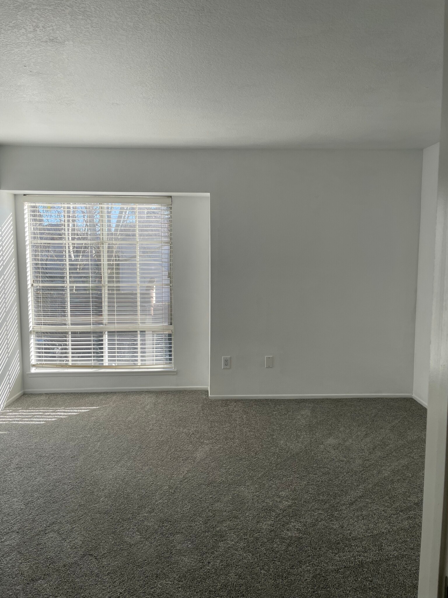 Sunny master bedroom - 4201 Las Virgenes Rd