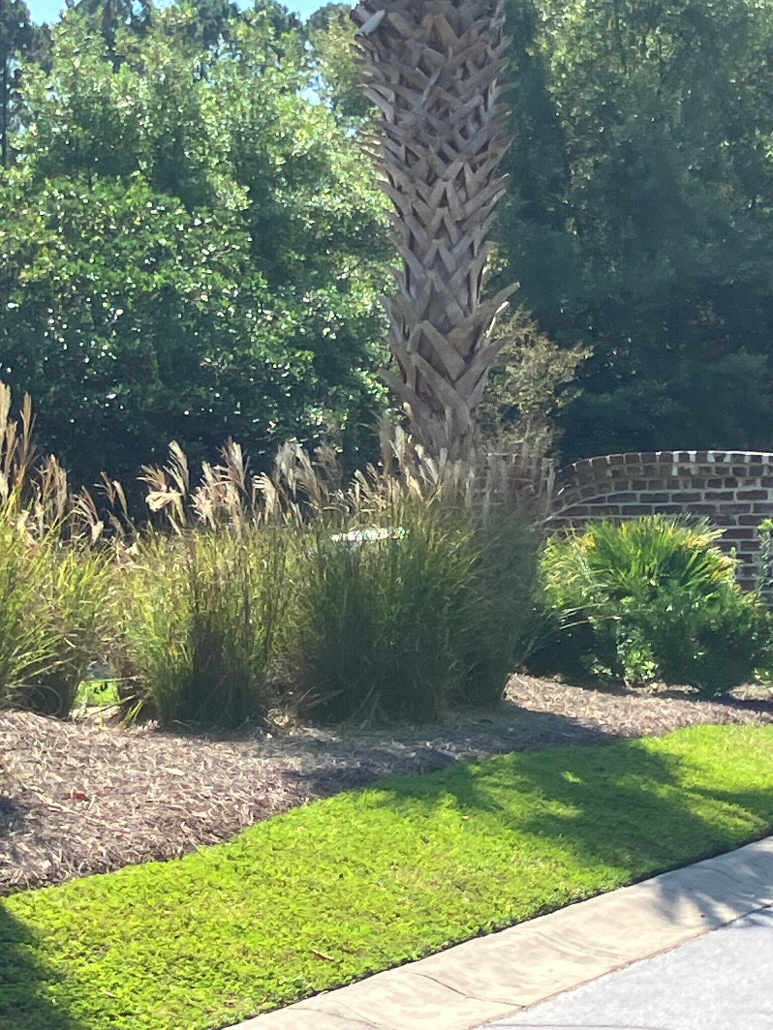 Common grounds - 119 South St