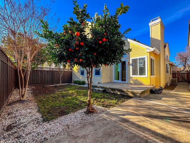 Building Photo - Updated Four Bedroom Home in the Heart of Napa