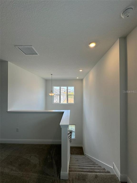 Building Photo - 2084 Axel St