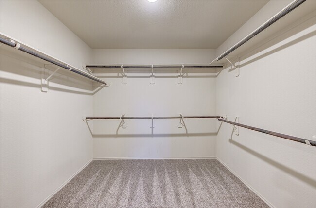 Building Photo - 23614 Eldarica Pine Ct