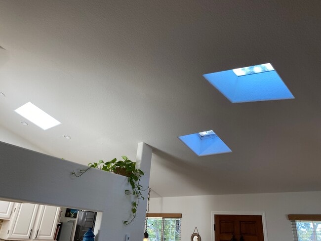 Skylights - 848 Pacific St