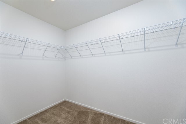 Building Photo - 9768 Solonia St