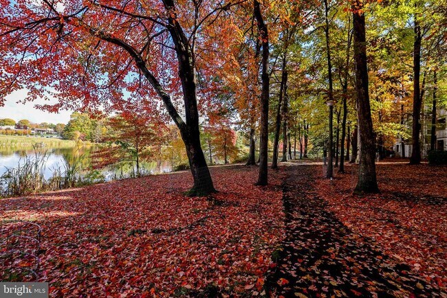 Building Photo - 1708 Lake Shore Crest Dr