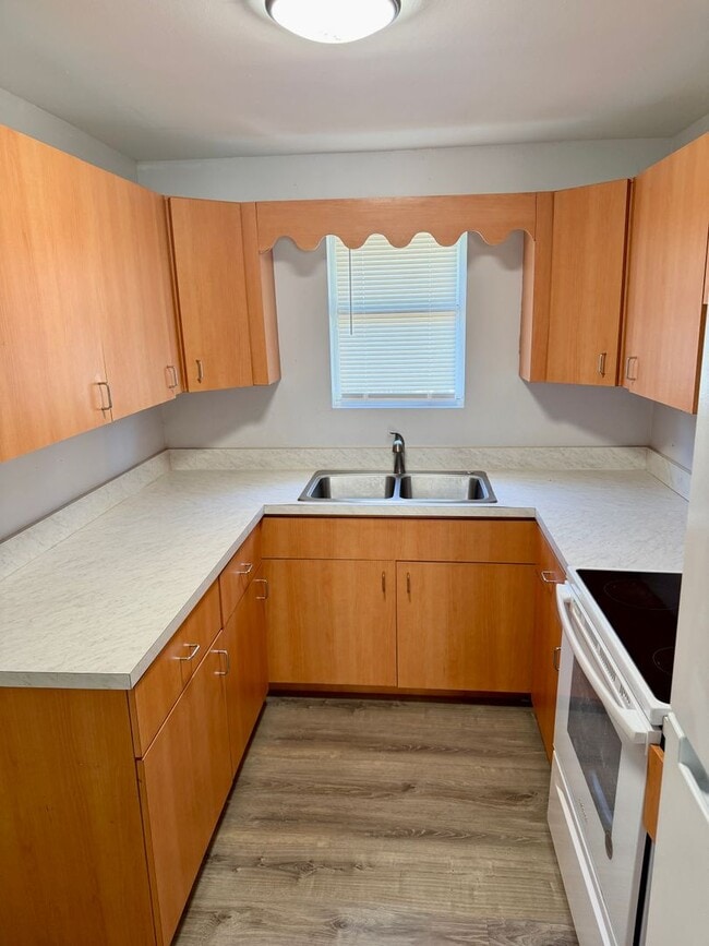 Building Photo - Fully Remodeled 2/1 in the heart of Tampa