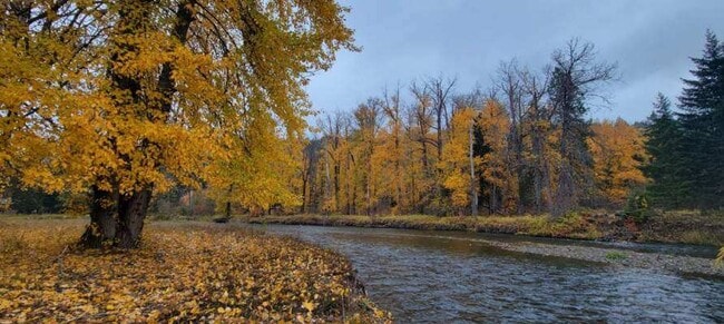 Building Photo - Riverfront Cabin in Elk Meadows Community