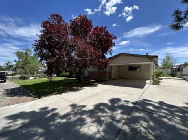 Primary Photo - 718 Brassie Dr