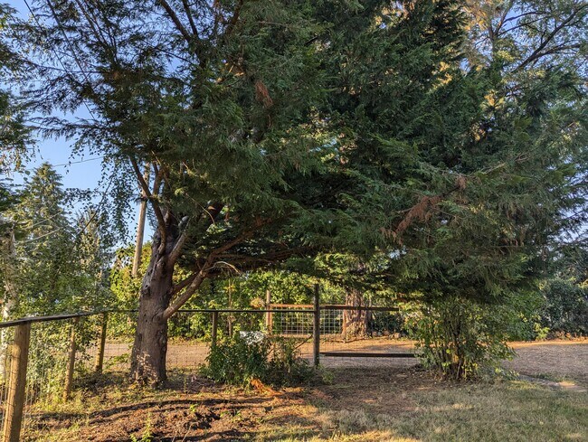 Building Photo - Farm House