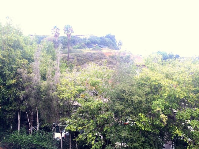 Building Photo - 2510 Torrey Pines Rd