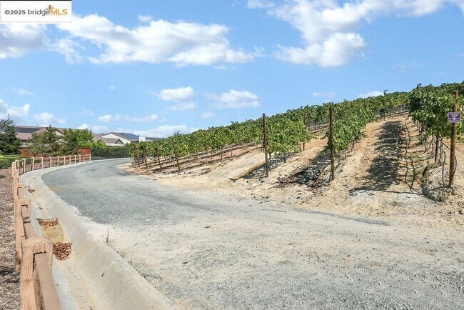 Building Photo - 1928 Barbaresco Ln