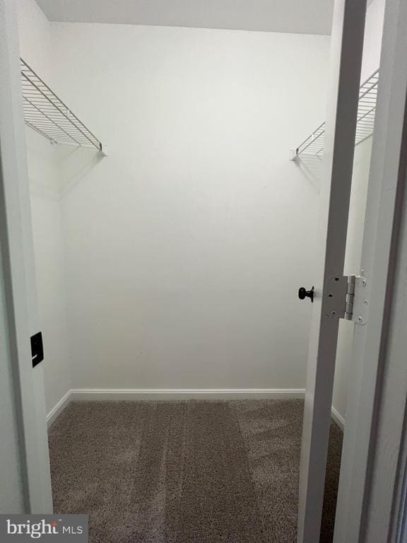 Building Photo - 3104 Dynasty Dr