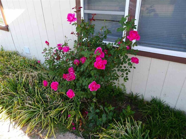 Building Photo - 2015 SW Jefferson Ave