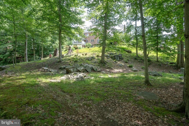 Building Photo - 337 Crum Creek Ln