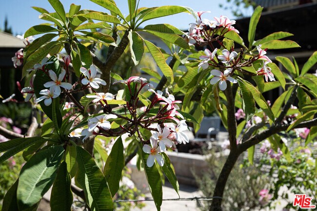 Building Photo - 9 Casaba Rd