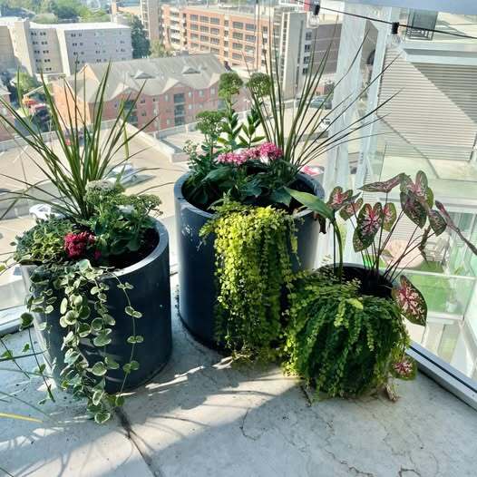 Building Photo - 221 E College St