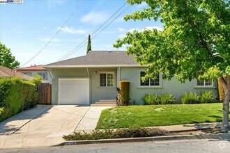 Building Photo - 323 De Leon Ave