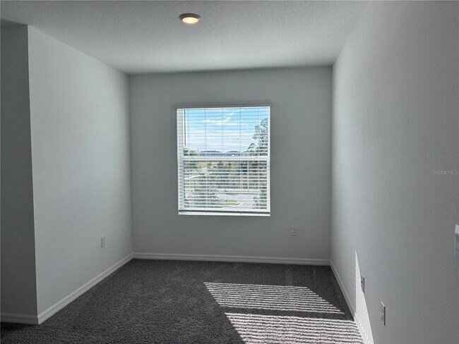 Building Photo - 32619 Turtle Grace Lp