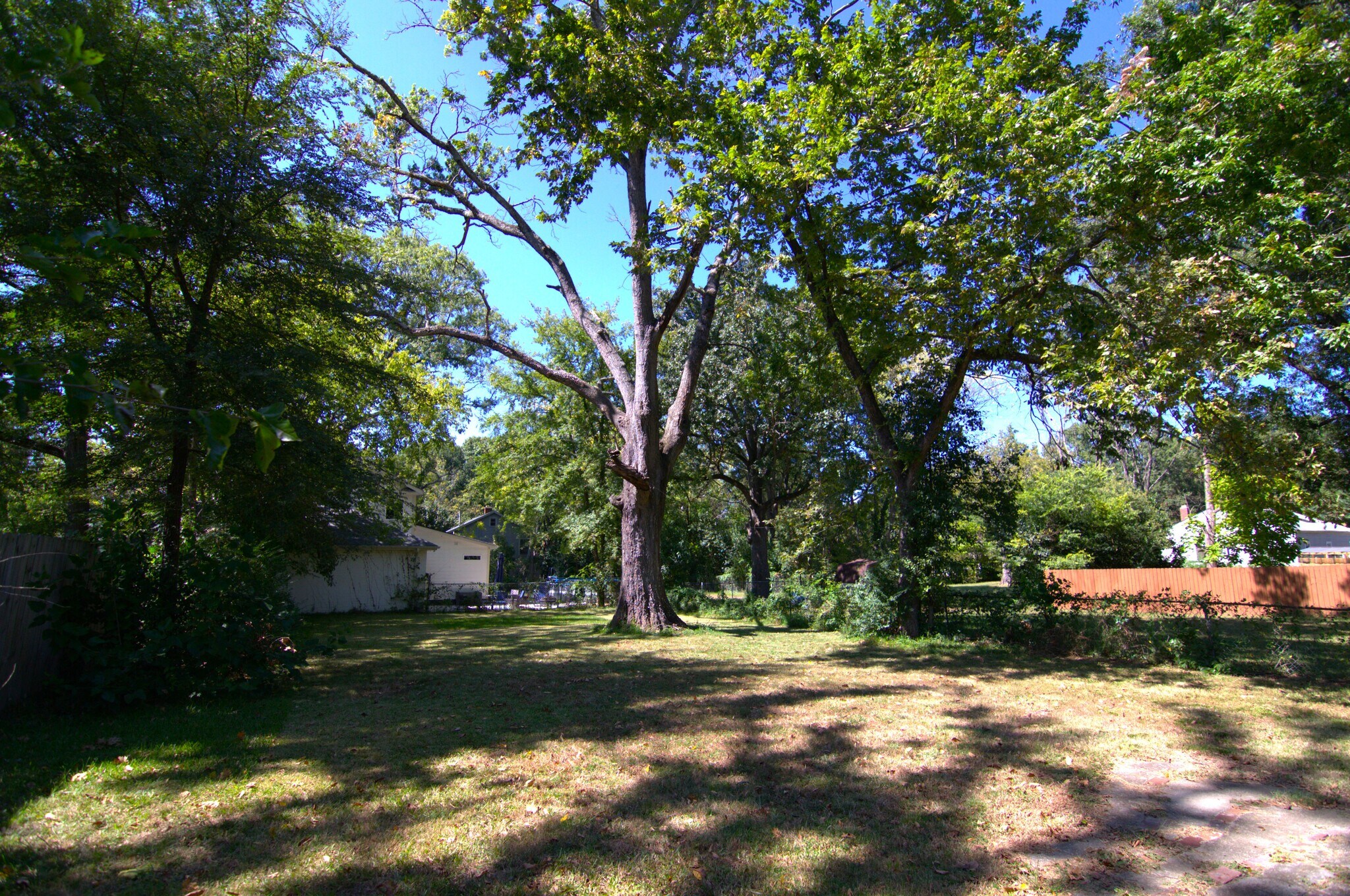 Building Photo - 524 S Confederate Ave