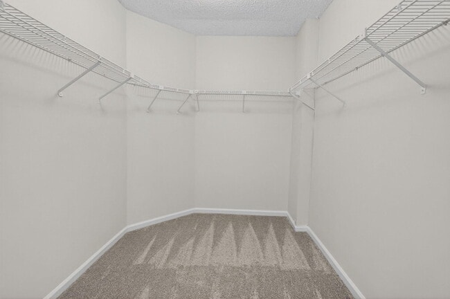 Building Photo - 1751 Banyan Creek Ct