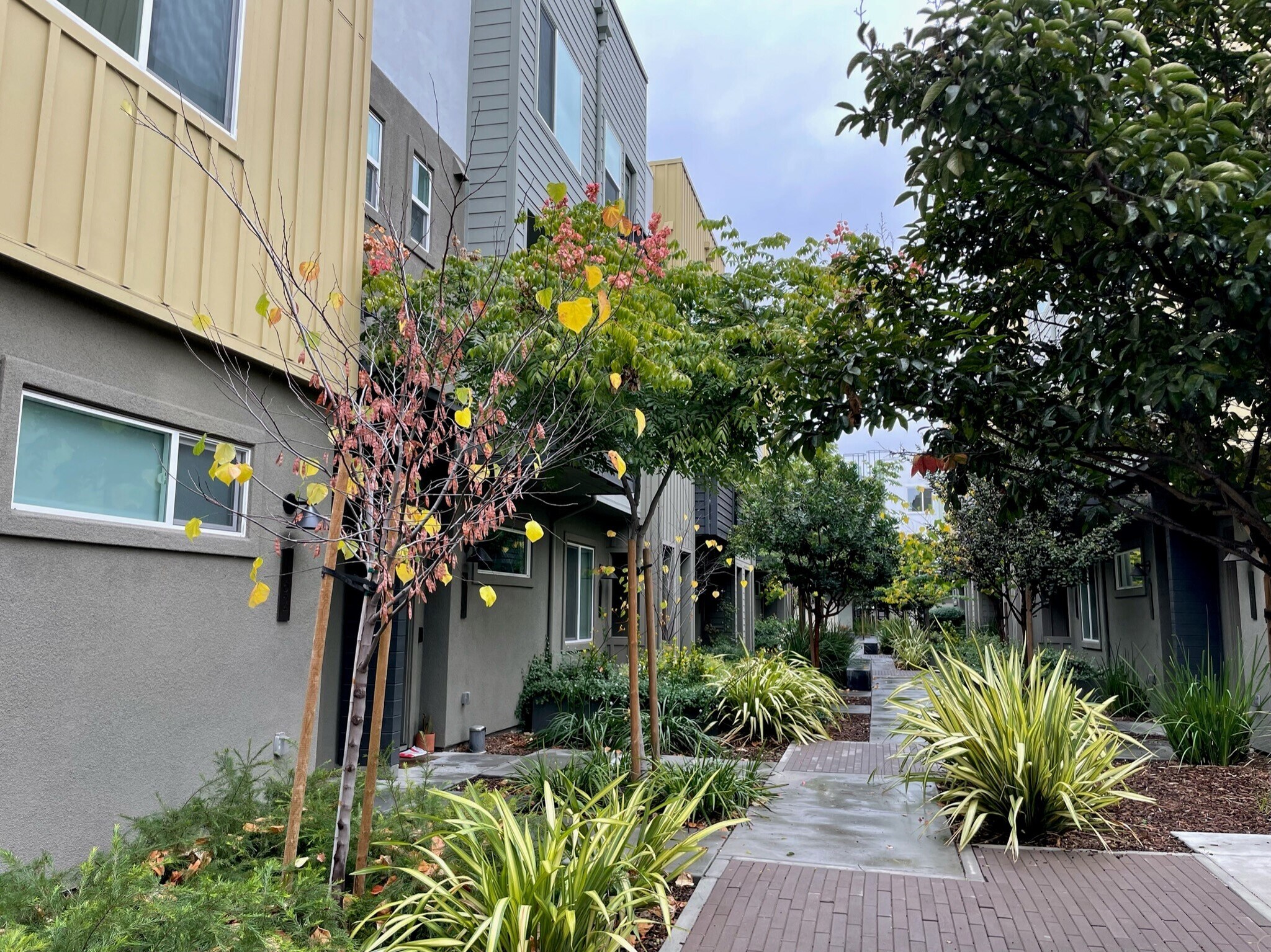 Building Photo - 158 Uptown Cir
