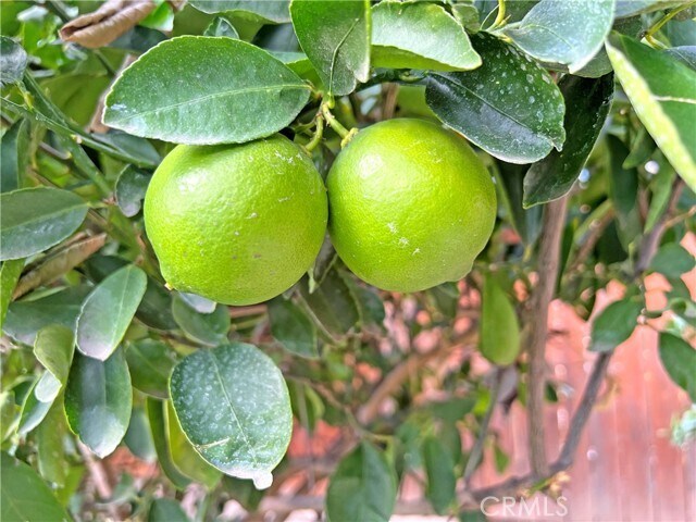 Building Photo - 3320 Campus Ave