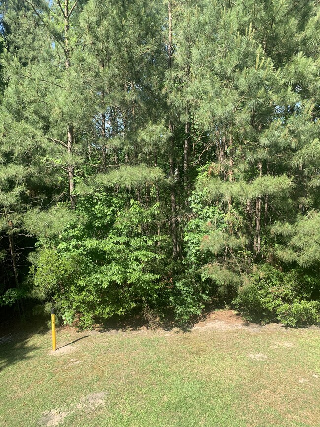 Balcony Views - 532 Lionshead Rd