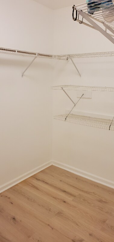 Building Photo - 1181 Cobblestone Cir