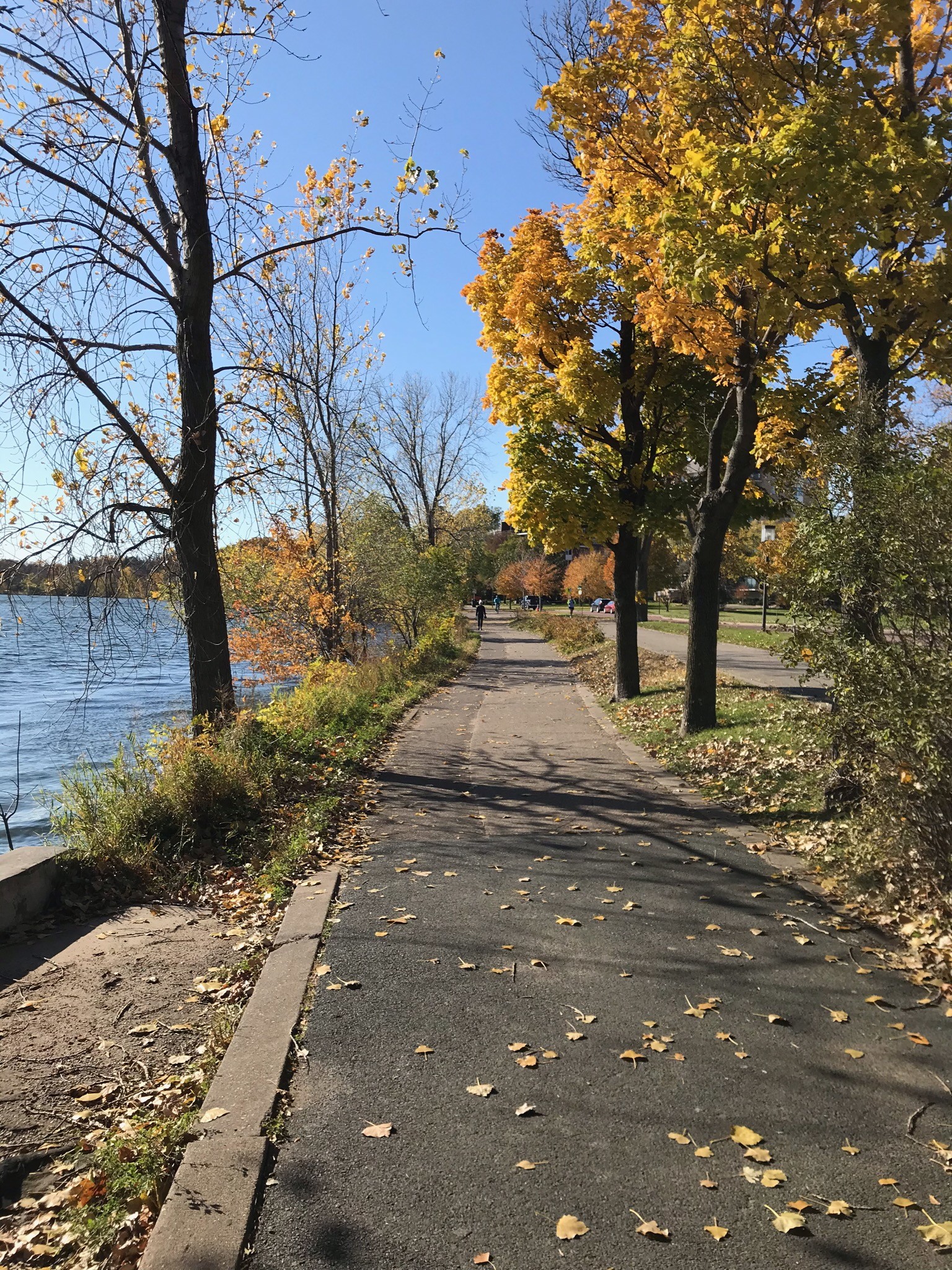 Lakefront path - 3150 Excelsior Blvd