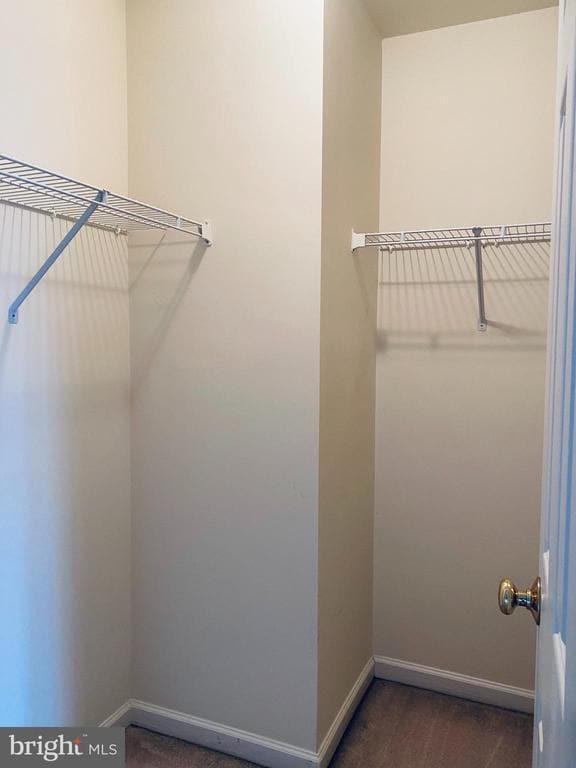 Building Photo - 1108 Havencrest St