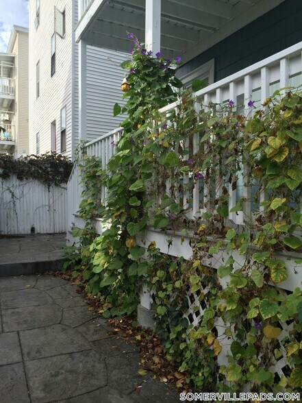 Building Photo - 41 Belknap St