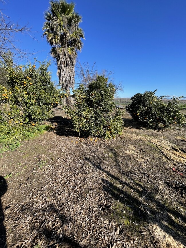 Building Photo - 8302 Bailey Rd