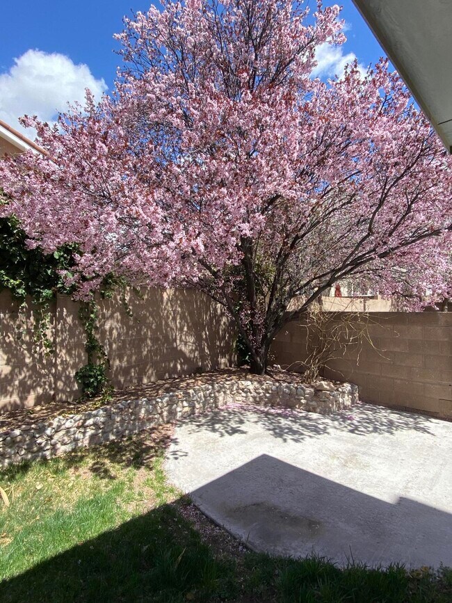 Building Photo - 7305 Peregrine Rd NE