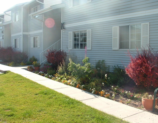 Building Photo - Wildflower Apartments